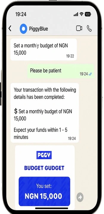 Financial insights on phone